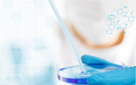 醫(yī)藥中間體、原料藥、制劑